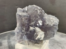 CRIS 25S OLD STOCK GROUPE DE