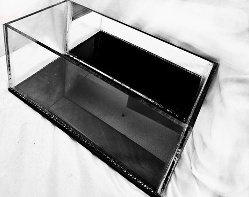 Gallon aquarium comes - 1.8,