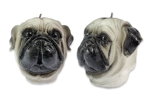 Bougie pug tête - pug, chien