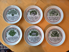 6 Assiettes plates à