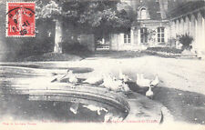 BIZY le parc les ducks de barbarie inner courtyard of the castle stamped 1909