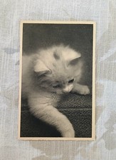 Carte Postale Ancienne Photo