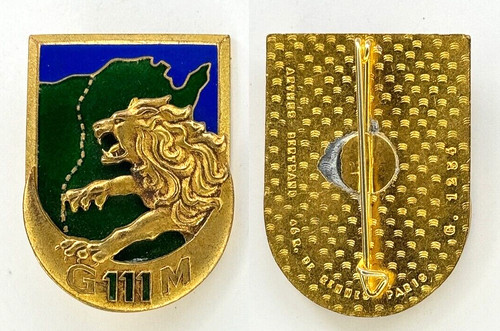 Insigne afn 111 groupe - gm,