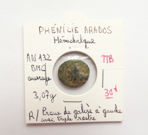 Hémichalque phénicie arados - hémichalque,