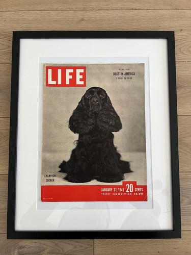 Life magazine couverture - magazine,
