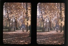 AUTOCHROME Stéréo (10x15)