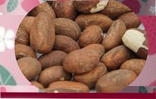 NOIX DE PETIT COLA FRAICHE