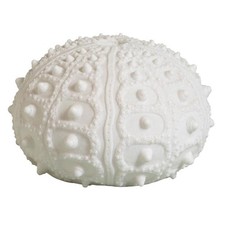 Lampe à poser Oursin résine