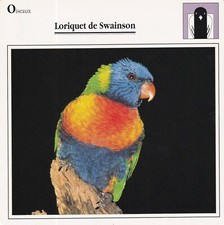 Card sheet 15x15c text on the back BUDGIE PARIQUITO LORIQUET DE SWAINSON