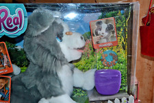 chien neuf furreal ricky