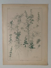 J.HABERT-DYS PLANCHE