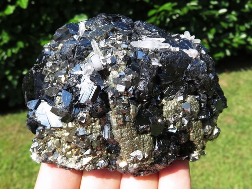 Minéraux pyrite très - minéraux, ***