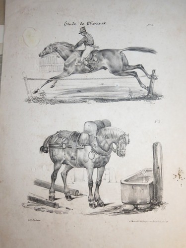 Rare grande litho etude - litho,