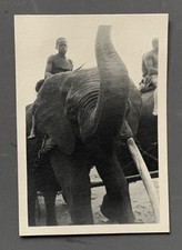 PHOTO ancienne Afrique