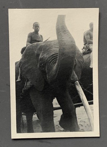 Photo ancienne afrique - photo,