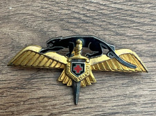 Military Badge N100 Helicopter Squadron/Black Panther on Wings Dagger