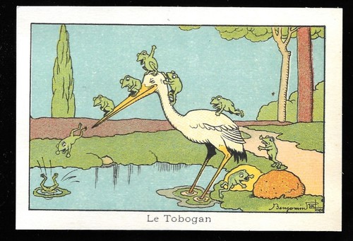 Tobogan grenouilles - le,