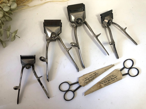 Hairdresser barber lot - hairdresser, /