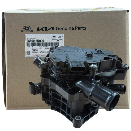 Oem 256902u000 valve act - 256902u000,