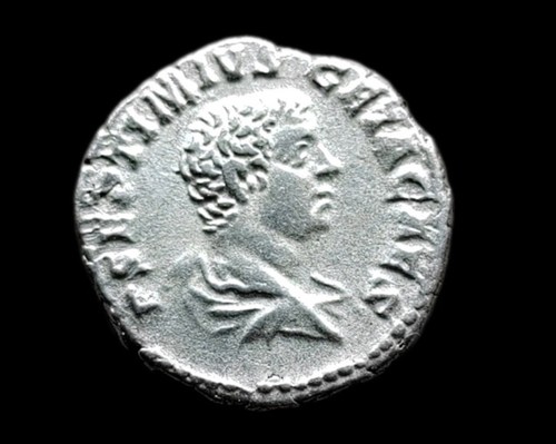 Denier geta provid - de, geta,