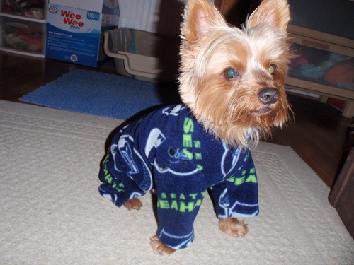 Seattle seahawks fleece dog - seattle,