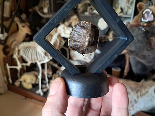 Cadre déco cabinet - , de