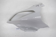 Défectueux Carénage Avant