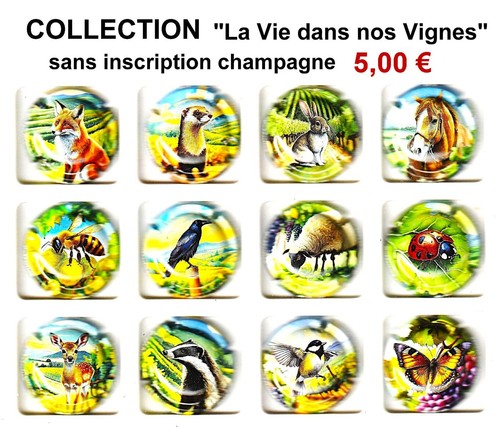 Capsules generiques la vie - -",