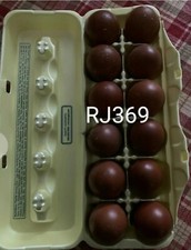 ●☆Black Copper Marans