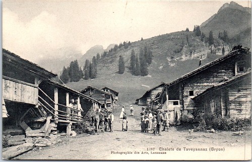 Suisse vaud chalets de - suisse,