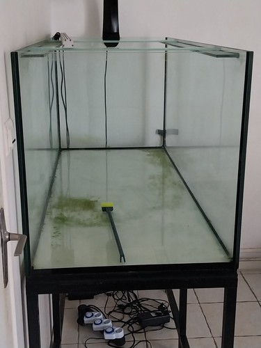 Aquarium eau mer - aquarium,