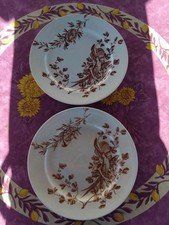2 Assiettes Plate Terre Fer