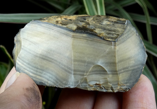 Silex rubané naturel - , 6x4cm