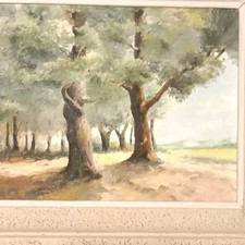 Lisière de Forêt Huile sur Carton Toilé 3F Cadre 34 x 29 cm Circa 1960