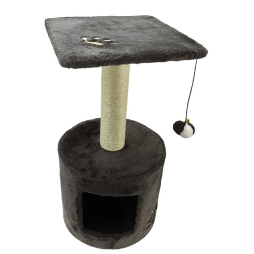 Arbre chat bongo - chat, brun,