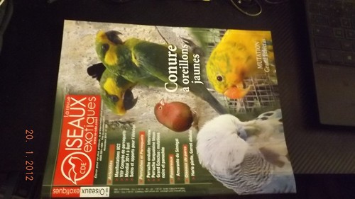 Revue cde oiseaux - gc, exotiques