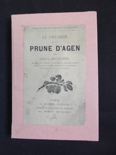Prunier prune d agen - et,