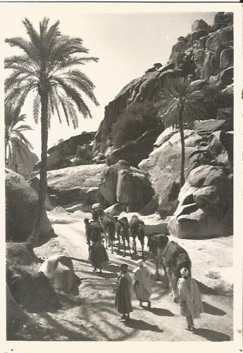 Carte postale portrait - carte, maroc