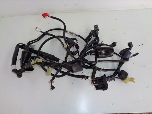 Câblage moteur complet - complet, honda