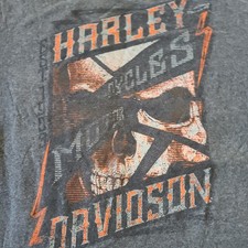 Men's XL Harley-Davidson RIder Design Skull T-shirt Gray + Harley VTwin Shirt