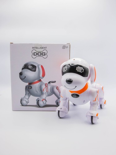 🦬Chien robot intelligent