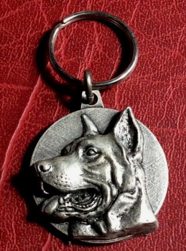 German shepherd berger - shepherd,