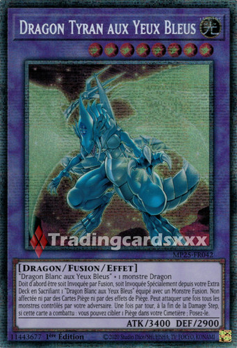 Dragon tyran aux - dragon,