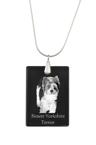 Biewer terrier yorkshire - biewer,