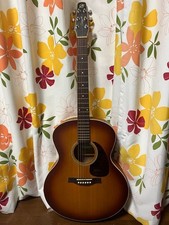 Seagull Guitar Entourage Mini