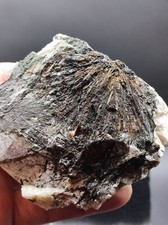 Top! RARE! ASTROPHYLLITE Plating - White Sea!! Russia