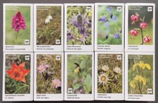 Lot of 10 "Flower" Theme Matchboxes (Ba/87)