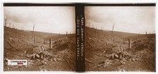 Bois des Caurières, Verdun, WW1, glass plate, old stereo photo 6x13 cm
