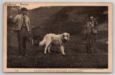 Guides et Chien de Montagne