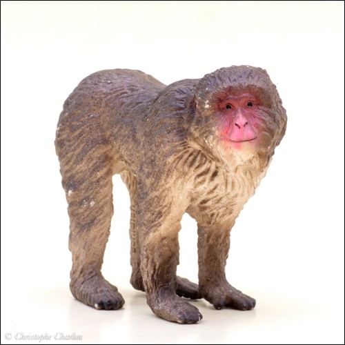 Schleich 14871 macaque du - schleich,